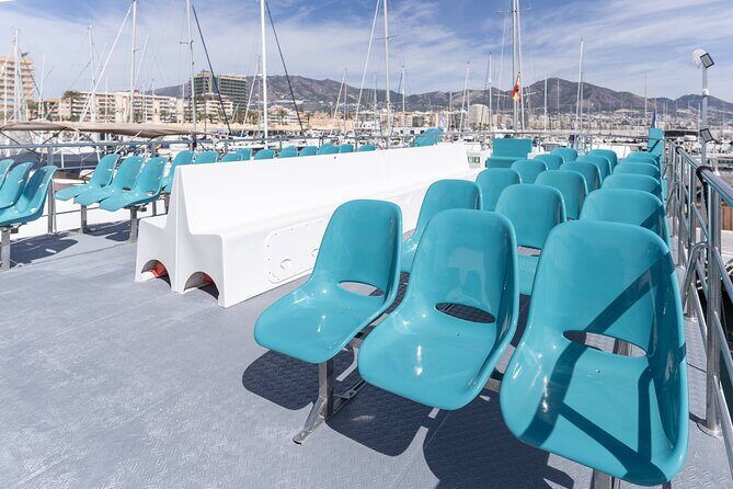 Dolphin watching on a Catamaran in Fuengirola - Who This Dolphin Cruise Is Best For
