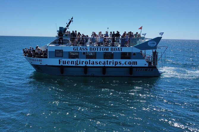 Dolphin watching on a Catamaran in Fuengirola - The 2-Hour Catamaran Plan Along the Costa del Sol