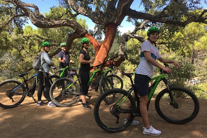 E-Mountain Bike Explorer Tour departing from Marbella - Guides, pacing, and small-group support