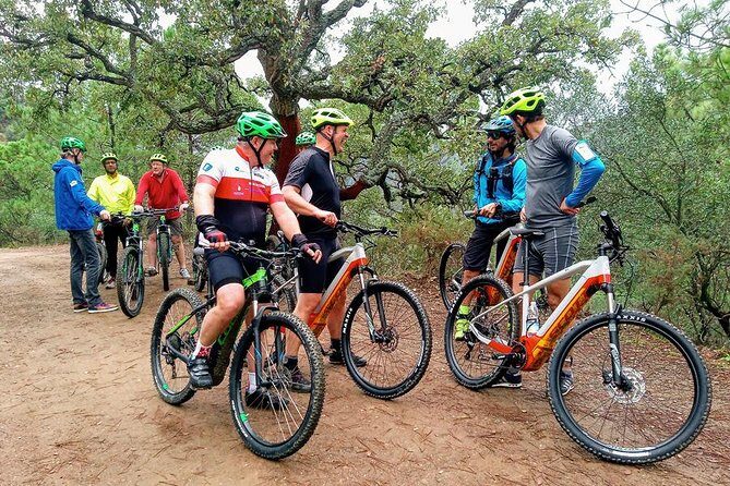 E-Mountain Bike & Wine Tour from Marbella to Sierra Blanca - Price and Value: Is $118.95 Worth It?