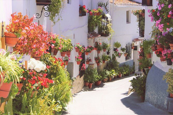 El Saltillo Gorge and White Village Hiking Tour from Malaga - Starting Your Day in Malaga: the Van, the Meeting Point, and the Early Start