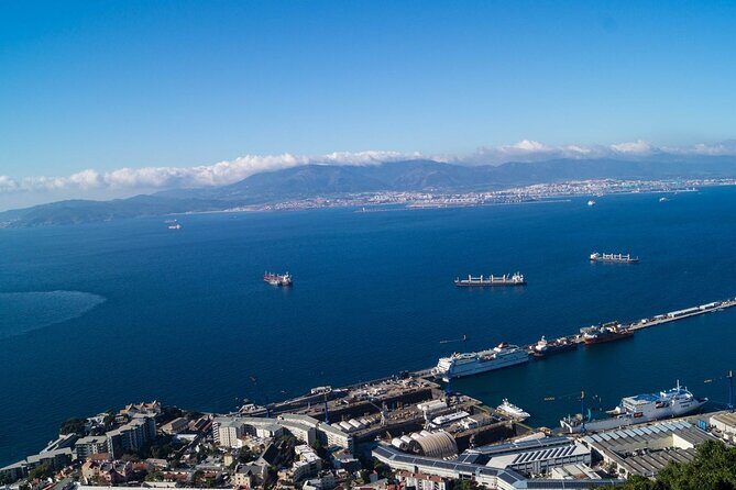 Excursion to Gibraltar with Dolphin Watching from Malaga - Price and Logistics: What $74.70 Buys You
