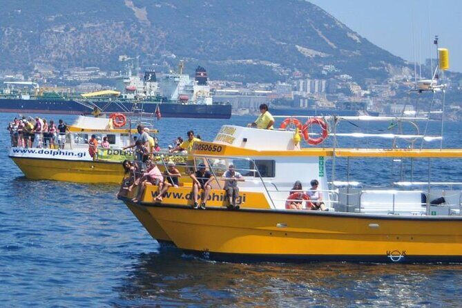 Excursion to Gibraltar with Dolphin Watching from Malaga - The Coach Ride from Málaga: Comfort Helps More Than You Think