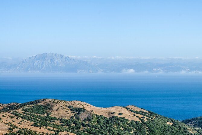 Excursion to Gibraltar with Rock Tour From Malaga - Getting There: The 7:00am Start and the Shared-Tour Reality