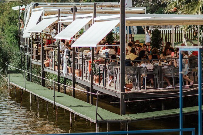 Flamenco and Outdoor Grill Evening (Guadalmina) - Key highlights to look for