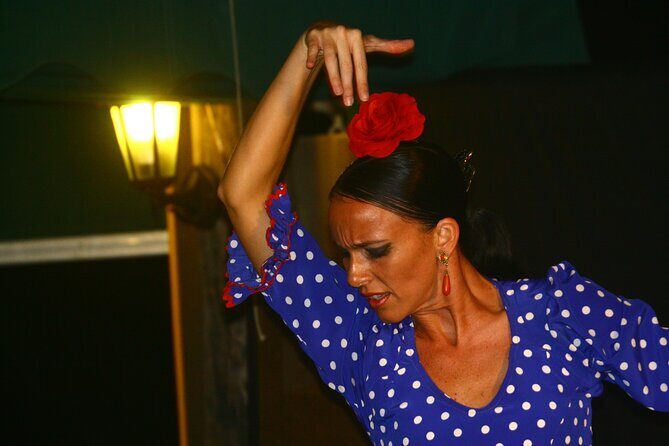 Flamenco and Outdoor Grill Evening (Guadalmina) - The flamenco tablao feel: singer, guitarist, dancers close to you