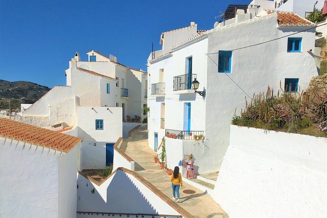 Frigiliana Small-Group Hike and Wine Tasting Tour from Malaga - The Hike: Avocados, An Old Irrigation Canal, and Big Viewpoints