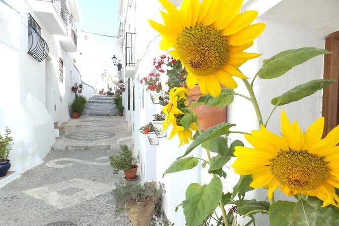 Frigiliana Small-Group Hike and Wine Tasting Tour from Malaga - Sierra Alhama, Tejeda and Almijara: What the Guide Brings to the Trail