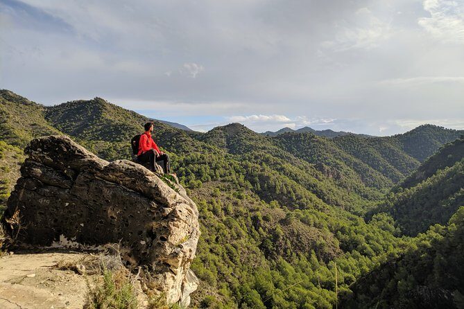 Frigiliana Small-Group Hike and Wine Tasting Tour from Malaga - Wine Tasting in a Cellar, Plus Tapas to Settle In