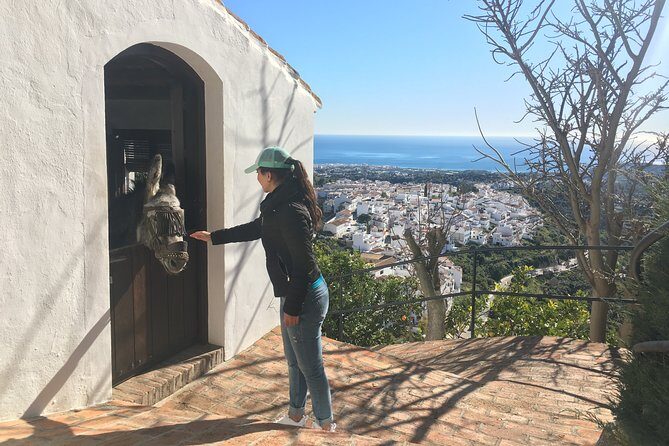 Frigiliana Small-Group Hike and Wine Tasting Tour from Malaga - Price and Value: Why $65.90 Is Not Just for Walking