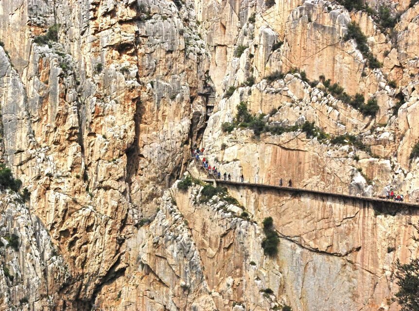 From Costa del Sol: Caminito del Rey Day Trip - Caminito del Rey: why this 100m cliff walk grabs attention