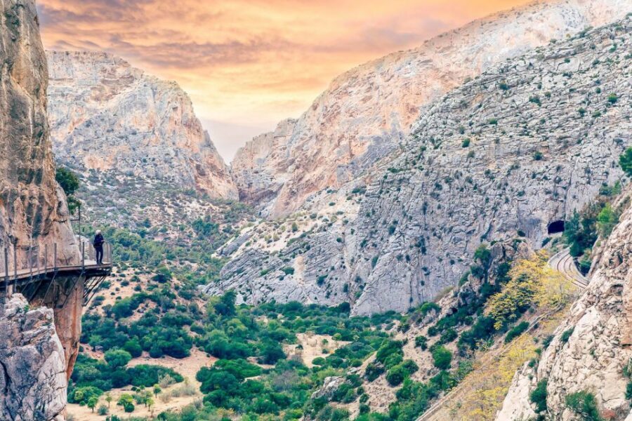 From Costa del Sol: Caminito del Rey Day Trip - Price and value: what’s included, what isn’t, and how to save