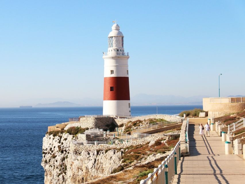 From Costa del Sol: Day Trip to Gibraltar with Guided Tour - Barbary apes up close: the biggest wow factor