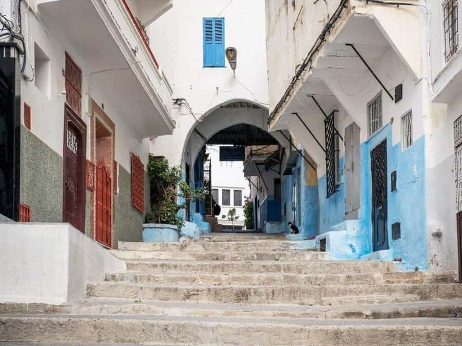 From Costa del Sol: Discover Tangier on a Guided Day Trip - Medina free time: how to use the 3-hour window well