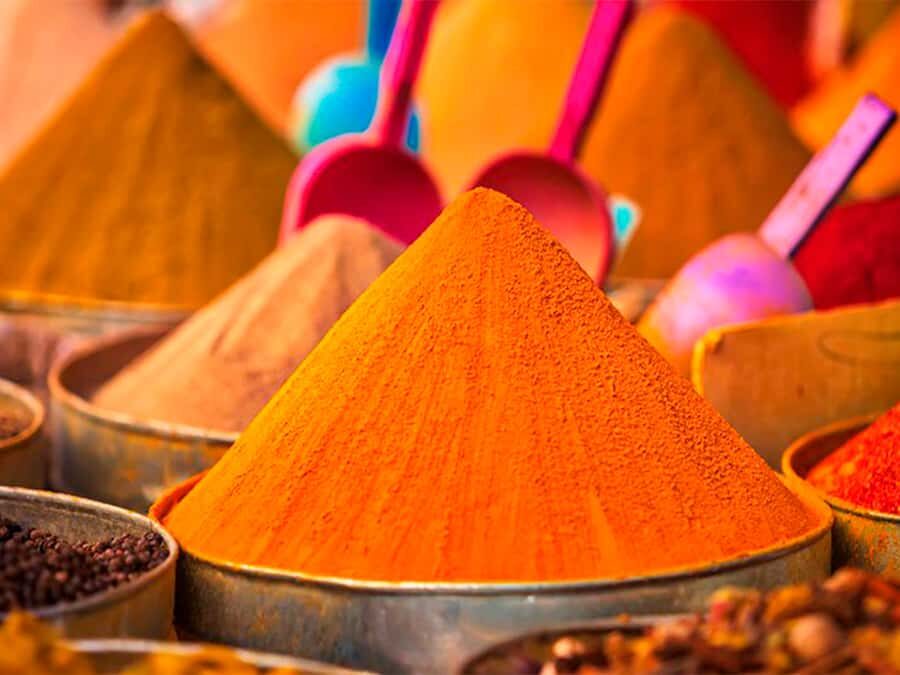 From Costa del Sol: Discover Tangier on a Guided Day Trip - First views by bus: getting your bearings in Tangier (before you walk)