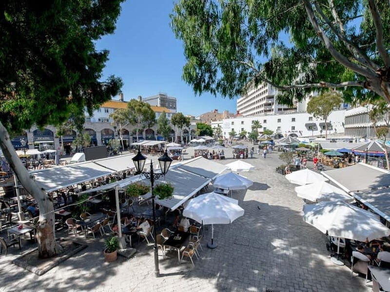 From Costa del Sol: Gibraltar Day Trip with Free Time - Getting the most out of the Rock: included time vs ticket reality
