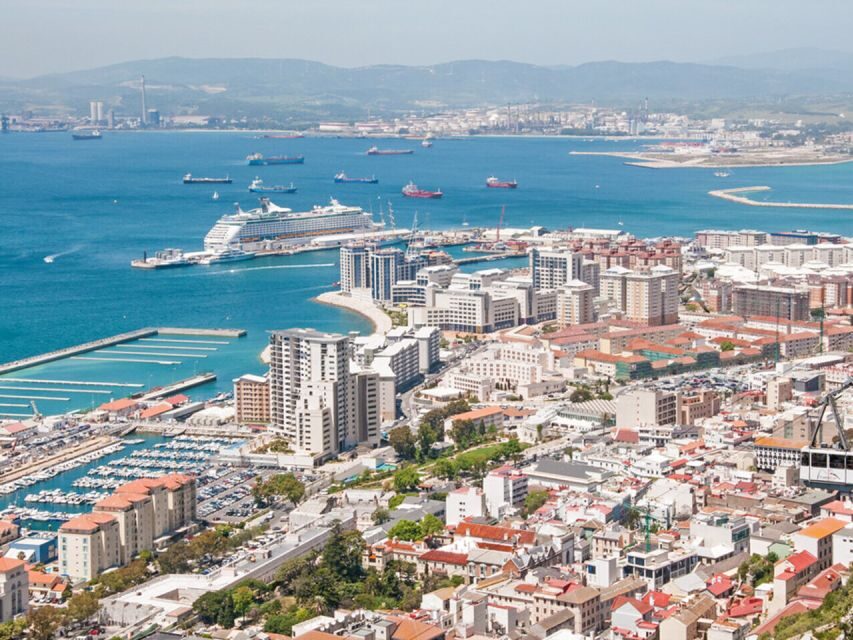 From Costa del Sol: Gibraltar Dolphin Watching by Boat - Key things to know before you go