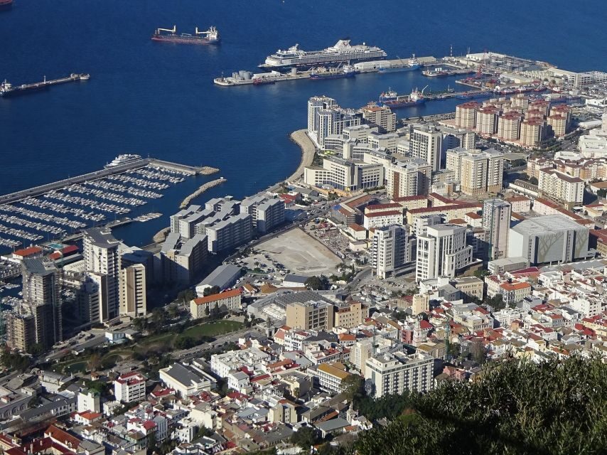 From Costa del Sol: Gibraltar Dolphin Watching by Boat - FAQ