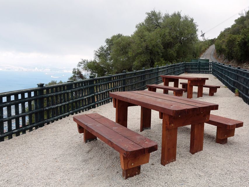 From Costa del Sol: Gibraltar Dolphin Watching by Boat - Tax-free shopping and Gibraltar food breaks