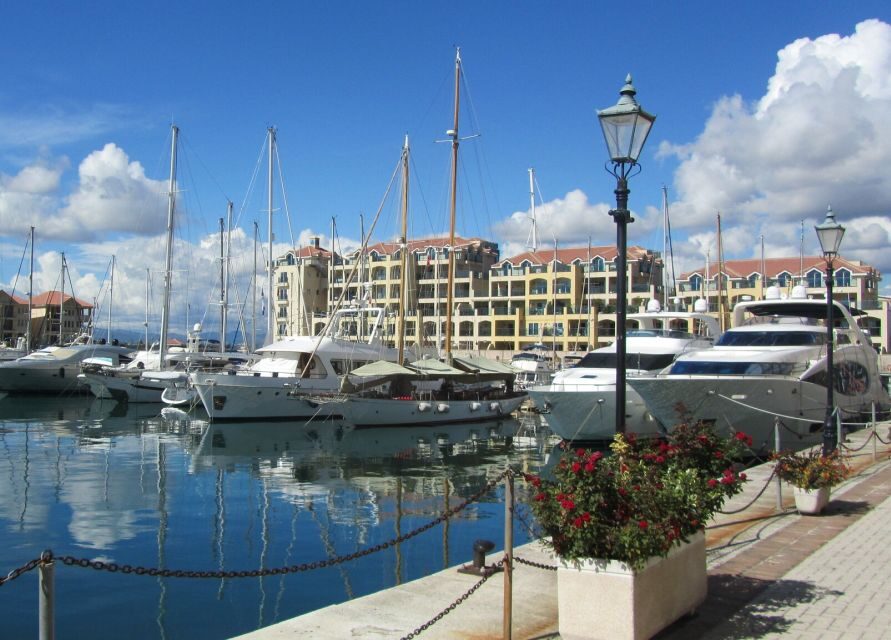 From Costa del Sol: Gibraltar Dolphin Watching by Boat - Who this tour suits best (and who should pick something else)