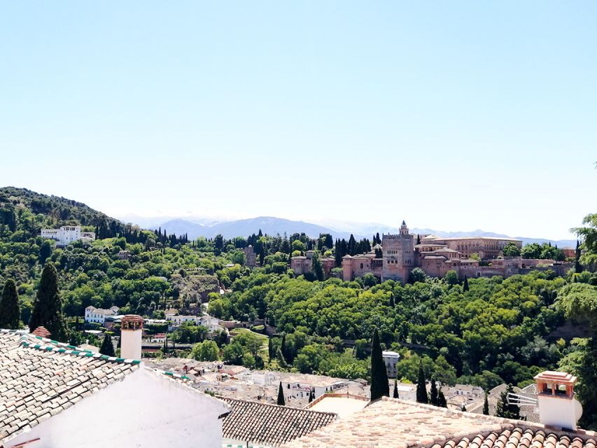 From Costa del Sol: Granada Day Trip Free Time 5h - Price and value: is $53 a good deal?