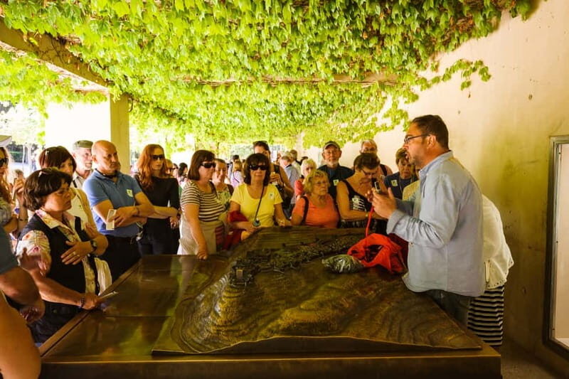 From Costa del Sol: Granada Full-Day Tour - Key things I’d clock before you go
