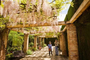 From Costa del Sol: Granada Full-Day Tour - Choosing your style: guided Alhambra vs audio vs self-guided Granada
