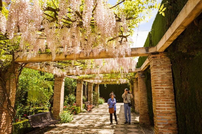 From Costa del Sol: Granada Full-Day Tour - Choosing your style: guided Alhambra vs audio vs self-guided Granada