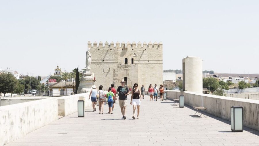 From Costa del Sol & Malaga: Cordoba Guided Day Tour - Cordoba in one long day: the coach ride you’re signing up for