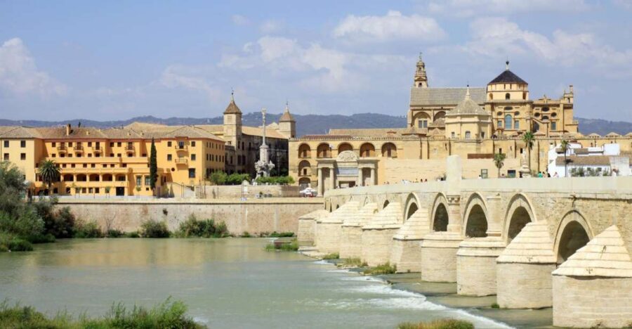 From Costa del Sol & Malaga: Cordoba Guided Day Tour - Lunch free time and meeting up again at Reales Alcázares