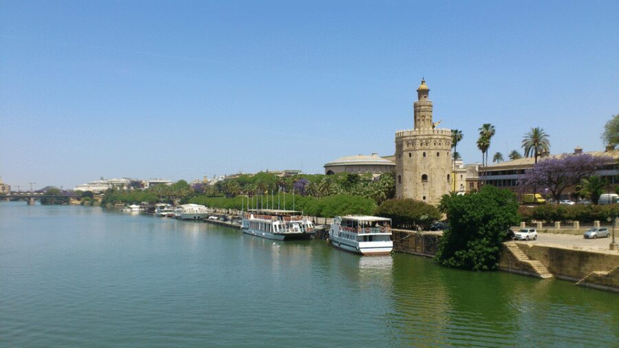 From Costa del Sol & Malaga: Seville Day Trip - Optional Cathedral visit: the Gothic giant and the Giralda connection
