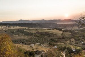 From Costa del Sol: Ronda Village Tour w/ Maestranza Ticket - Ronda on Foot: Cobblestone Alleys, Churches, and Your Bearings