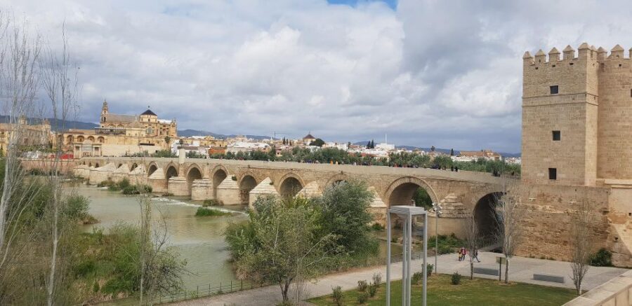 From Malaga and Costa Del Sol: Cordoba Day Trip - Why this Córdoba day trip works from Malaga and the Costa del Sol