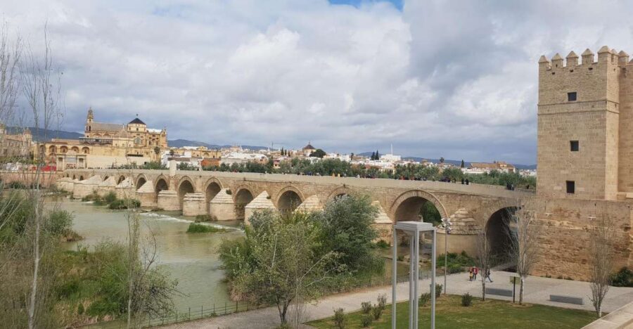 From Malaga and Costa Del Sol: Cordoba Day Trip - Five hours of free time: Jewish quarter lanes and those famous street shots