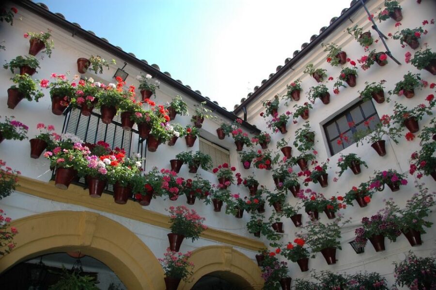 From Malaga and Costa Del Sol: Cordoba Day Trip - Andalusian patios in San Basilio: small neighbourhood magic