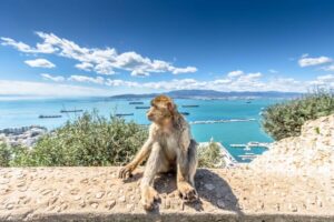 From Malaga and Costa del Sol: Gibraltar Sightseeing Tour - Getting Oriented: Port, Walled Inner City, and a Guided Walk