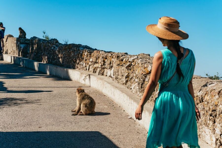 From Malaga and Costa del Sol: Gibraltar Tour - Quick hits: why this Gibraltar tour works