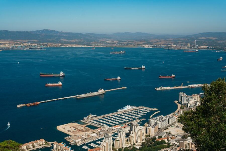 From Malaga and Costa del Sol: Gibraltar Tour - Rock of Gibraltar option: caves, Strait views, and Apes Den