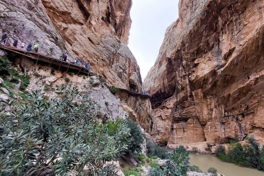 From Málaga: Caminito del Rey Guided Day Trip - Caminito del Rey From Málaga: Why This Day Trip Works