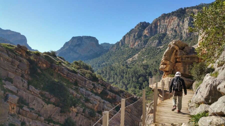 From Málaga: Caminito del Rey Small-Group Tour with Picnic - Price and value: what you’re paying for at about $105