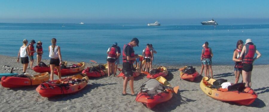 From Málaga: Cliffs of Maro-Cerro Gordo Guided Kayaking Tour - Wild Animals on the Rocks and Birds Overhead