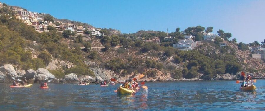 From Málaga: Cliffs of Maro-Cerro Gordo Guided Kayaking Tour - Sea Life and Clear Water: What You Might See Close Up