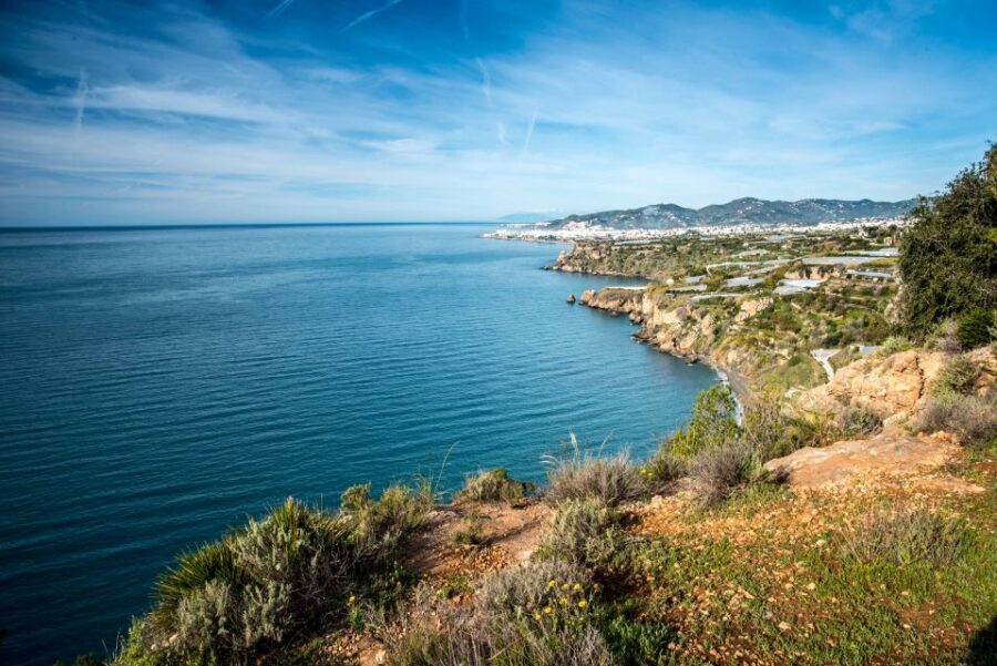 From Malaga: Cliffs of Maro Hike w/ Beach Visit & Snorkeling - What you actually learn: crops, trees, and a botany talk you can use later