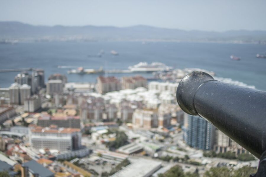 From Malaga: Day Trip to Gibraltar - Upper Rock Nature Reserve: Barbary macaques and the best kind of chaos
