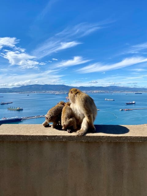From Malaga: Day Trip to Gibraltar - Europa Point: the Strait of Gibraltar view you’ll want to frame