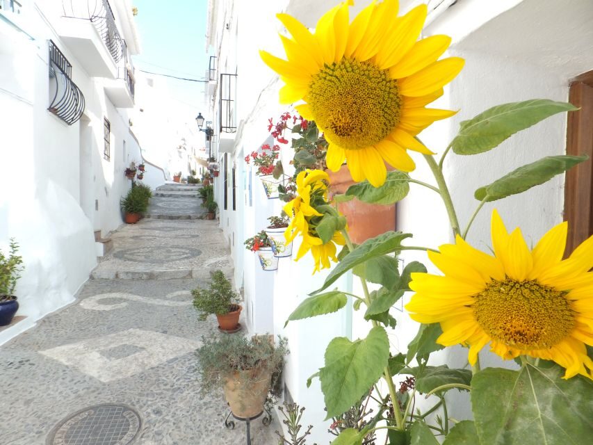 From Málaga: Frigiliana Hiking Tour with Wine & Appetizers - The Arab irrigation canal: where the hike becomes a story