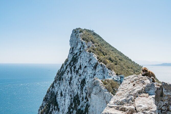 From Malaga, Gibraltar excursion with transport - Key Highlights