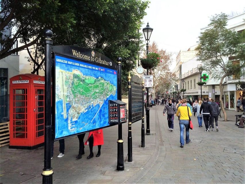 From Málaga or Marbella: Private Gibraltar Tour - Rock of Gibraltar Nature Reserve and the Barbary macaques