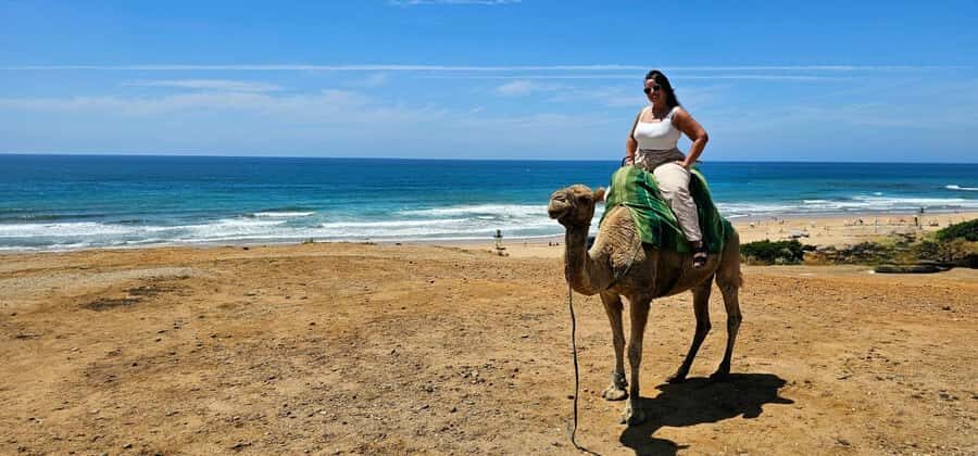 From Malaga or Tarifa: Private Tangier Day Tour - Key highlights at a glance