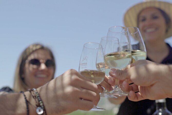 From Malaga: Ronda, Wine & Olive Oil Tasting Premium Small Group - From Malaga to Ronda: the quick, no-drama start
